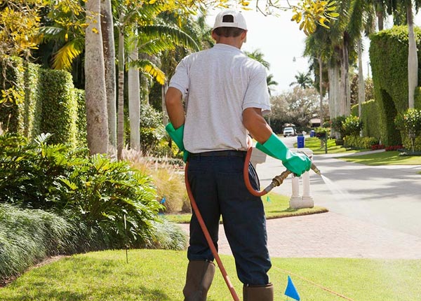 About Greensburg KY Pest Control